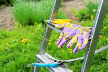 Eldiven ve bahçe makası. Mayıs 'ta bahçıvanlık. Kurumuş ve hasarlı dallar. Mesleği bahçıvan, peyzaj tasarımcısı..