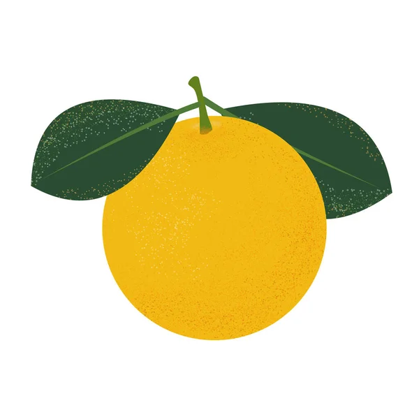 Pomarańcza Liśćmi Białym Tle Letnie Owoce Dla Zdrowego Stylu Życia — Zdjęcie stockowe