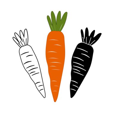 Beyaz arka planda bir havuç seti. Kartpostallar, mutfak tekstil ürünleri, menüler, restoranlar için hoş çizimler. İnce çizgi özelleştirilebilir illüstrasyon. Vektör grafikleri.