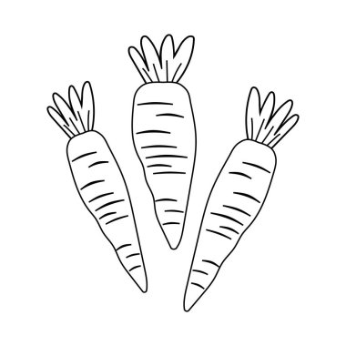 Havuçlar beyaz arka planda siyah çizgili olarak çizilir. Kartpostallar, mutfak tekstil ürünleri, menüler, restoranlar için hoş çizimler. İnce çizgi özelleştirilebilir illüstrasyon. Vektör grafikleri
