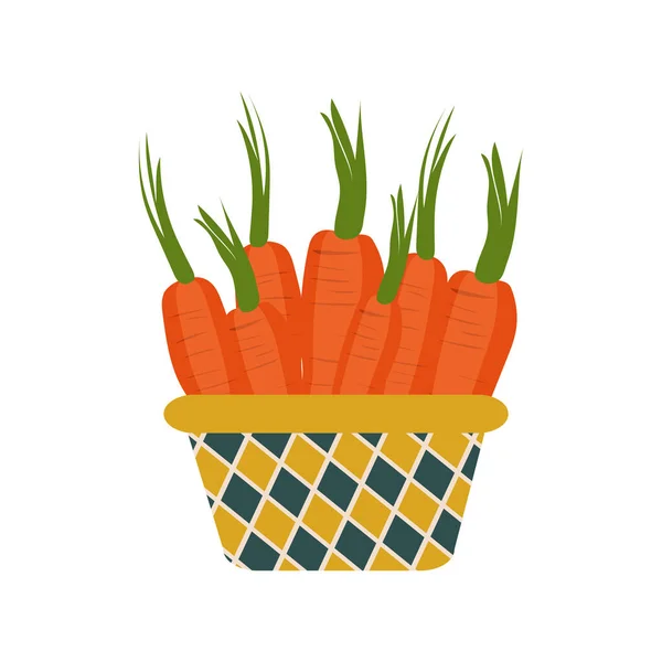 Zanahorias Una Hermosa Canasta Aislada Sobre Fondo Blanco Recoge Verduras — Vector de stock