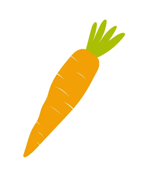 Bonita Zanahoria Aislada Sobre Fondo Blanco Verduras Con Caroteno Ilustración — Vector de stock