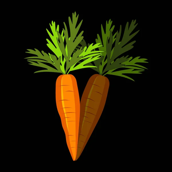 Милая Морковка Черном Фоне Овощи Каротином Иллюстрация Печати Продуктовых Интернет — стоковый вектор