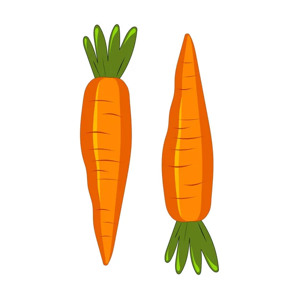 Χαριτωμένο Καρότο Απομονωμένο Λευκό Φόντο Λαχανικά Καροτένιο Εικονογράφηση Για Εκτύπωση — Διανυσματικό Αρχείο