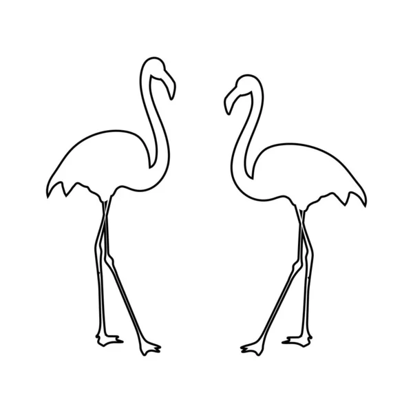 Ícone Flamingo Isolado Fundo Branco Linha Fina Ilustração Personalizável Modelo —  Vetores de Stock