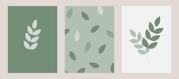 在枝条上有柔软的淡绿色叶子的自然图案 时尚时尚的现代传单 明信片 小册子 室内装饰 矢量图形 — 图库矢量图片