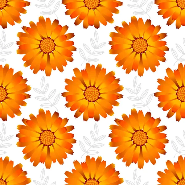 Medicinal Calendula Flowers Seamless Summer Pattern Beautiful Flowers White Background — Stock Photo, Image