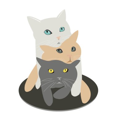 Üç sevimli kedi yan yana yatar. Giysilerdeki, tabaklardaki, tekstil ürünlerindeki moda baskılar için güzel tüylü hayvanları besler. Vektör illüstrasyonu.