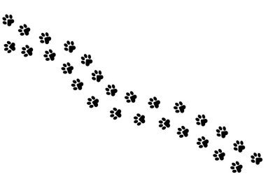 Kedi pençeleri, köpek, köpek. Tişörtler, arka planlar, web siteleri, kartpostallar, çocukların parmak izleri için çapraz hayvan ayak izleri. Vektör grafikleri.