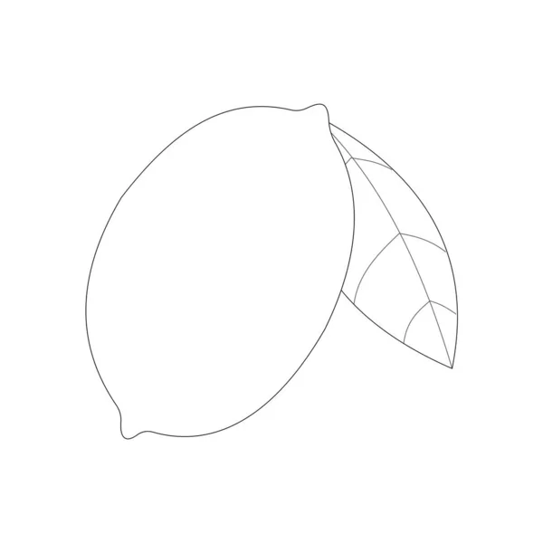 Линейный Значок Лимона Белом Фоне Тонкая Черная Линия Настраиваемая Иллюстрация — стоковое фото