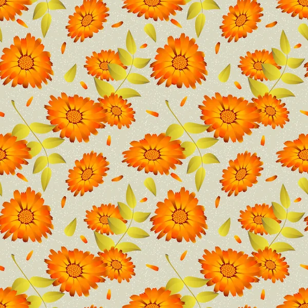 Medicinale Calendula Bloemen Naadloos Zomerpatroon Met Prachtige Bloemen Een Witte — Stockvector