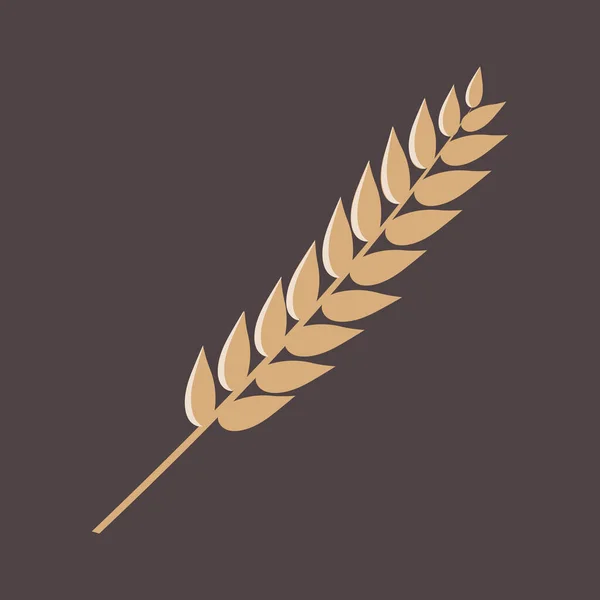Колючки Бежевой Пшеницы Темном Фоне Культивирование Экологически Чистых Зерновых Культур — стоковый вектор