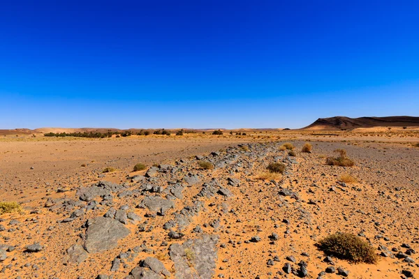 Stenen in de Saharawoestijn — Stockfoto