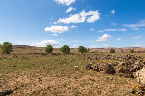 Kameny v poušti Sahara — Stock fotografie