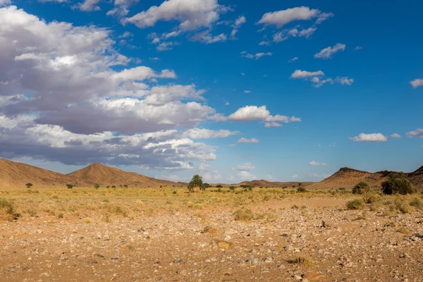 Sahara woestijn, Marokko — Stockfoto