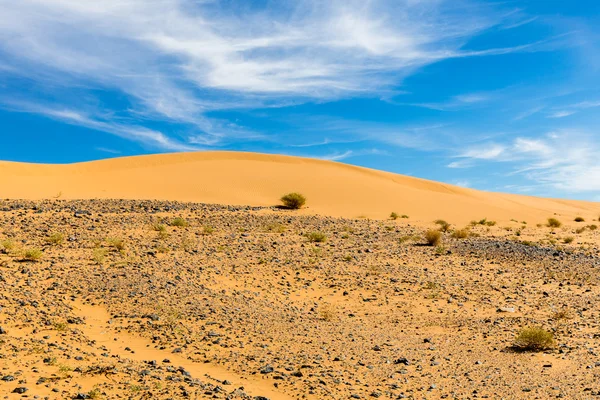 Duna de arena desierto del Sahara — Foto de Stock