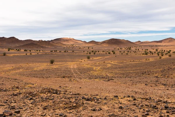 Weg in de woestijn Sahara — Stockfoto
