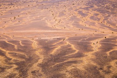 sahara Çölü'nde deve karavan
