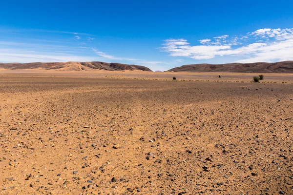 Kövek a Szahara sivatagban — Stock Fotó