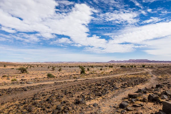 Stenen in de Saharawoestijn — Stockfoto