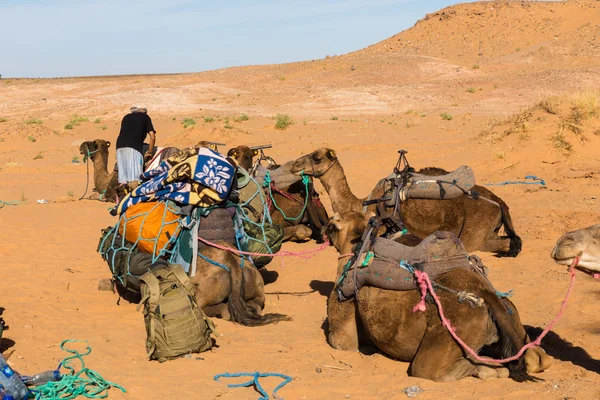 Berber böyle bir karavanda hazırlanıyor — Stok fotoğraf