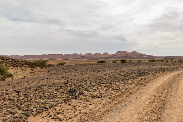 Weg in de Saharawoestijn — Stockfoto