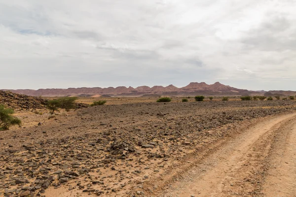 Droga w pustyni sahara — Zdjęcie stockowe