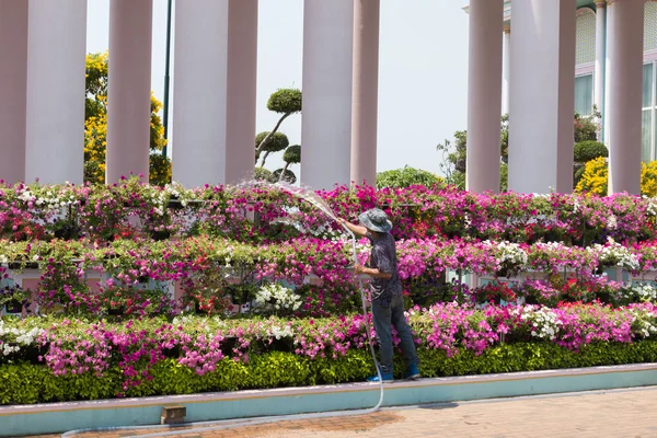 Man watering the garden — Stock Photo, Image