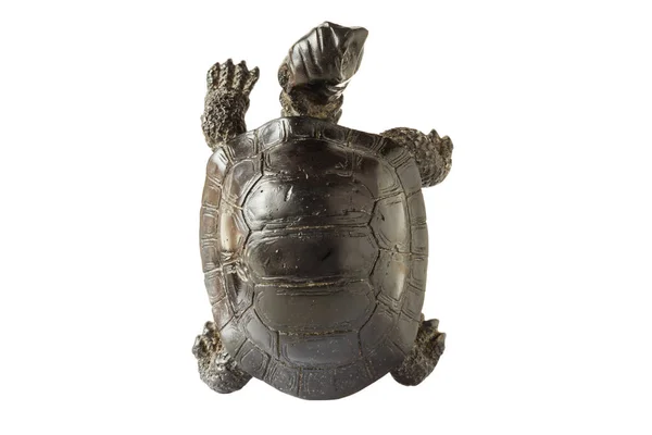 海龟的黑色雕像 — 图库照片