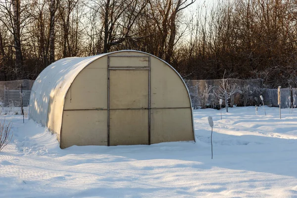 Üvegház a zöldséges kertben télen. — Stock Fotó