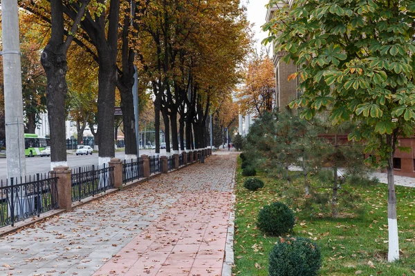 Amir Temur Avenue a Tashkent. — Foto Stock
