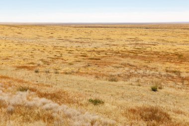 Sonbaharda Moğol bozkırları