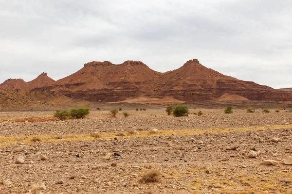 Góry Pustyni Pustynia Kamienna Sahara Prowincja Errachidia Maroko — Zdjęcie stockowe