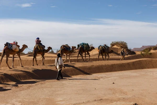 Errachidia Province Maroko Října 2015 Berber Man Vede Velbloudí Karavanu — Stock fotografie