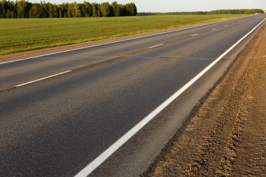Arka planda orman olan bir tarla boyunca boş bir asfalt yol..
