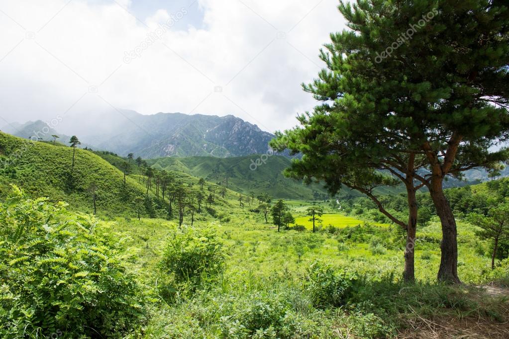 The North Korean landscape