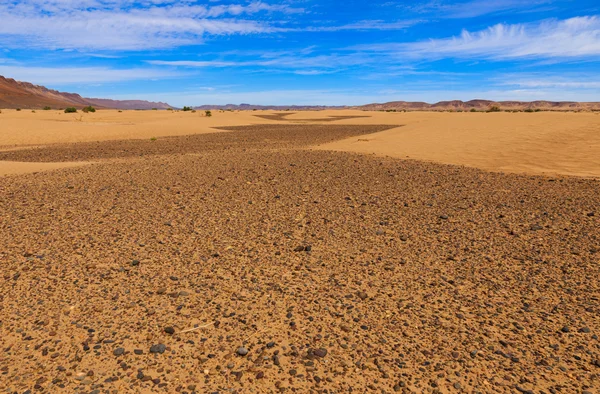 Sahara desert, Morocco — Stock Photo, Image