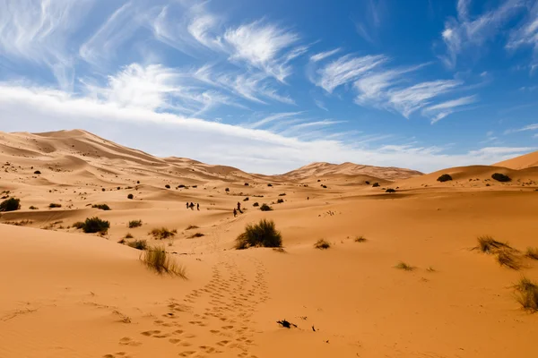 Erg Chebbi v Maroku — Stock fotografie