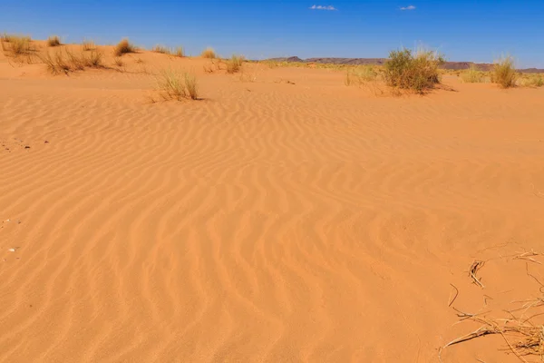 Wüste Sahara, Marokko — Stockfoto