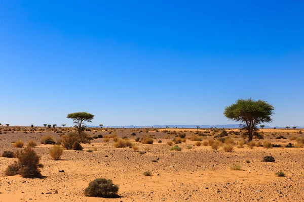 Пейзаж в пустыне Сахара — стоковое фото