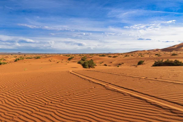 Следы на песке, Сахара — стоковое фото