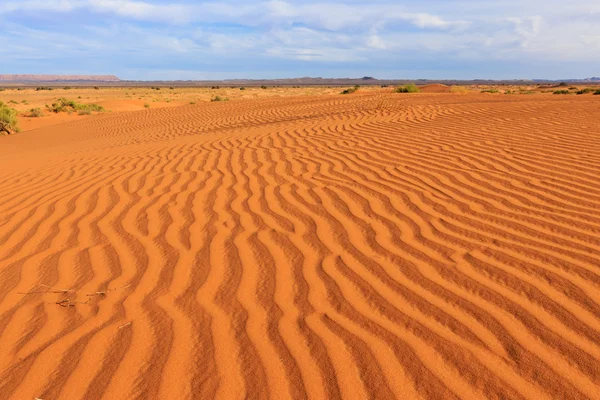 Sahara pouštní, Maroko — Stock fotografie