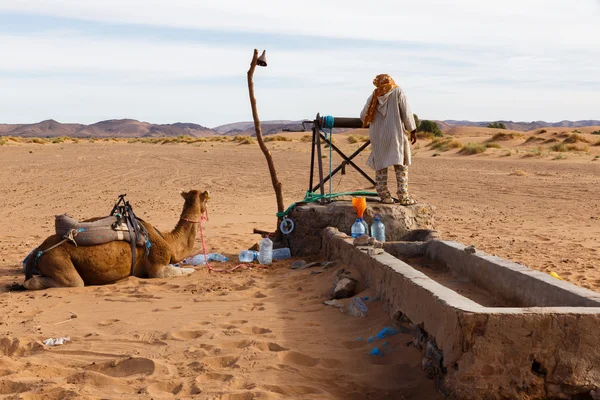 Berberské a velbloudí u studny, Maroko — Stock fotografie