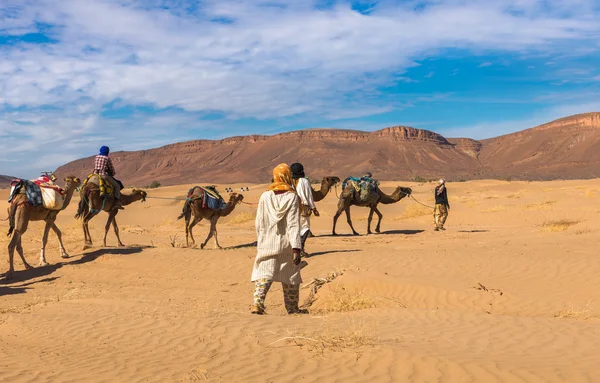 Carovana di cammelli che attraversa il deserto, Marocco — Foto Stock