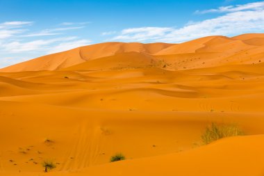 Sahara çöl, morocco