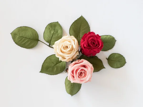 Три разноцветных розы на белом фоне — стоковое фото