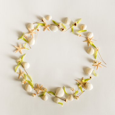 Çember çerçeve arka plan yaz elemanları - deniz kabuğu, starfishes, çiçek