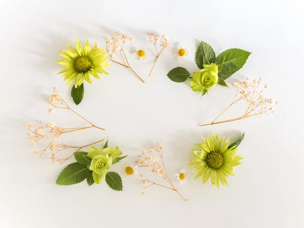 Marco con rosas, flores verdes y hojas sobre fondo blanco . — Foto de Stock