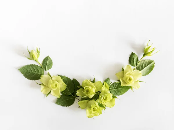 Frame  with  roses, green flowers and leaves on white background. — Stock Photo, Image