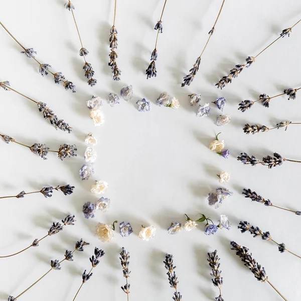 Cadre avec fleurs sèches sur fond blanc — Photo